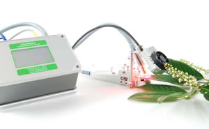 light red.jpg light red.jpg