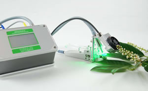 light green.jpg light green.jpg