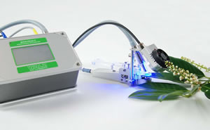 light blue.jpg light blue.jpg