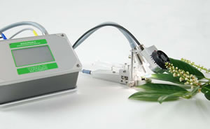 light white.jpg light white.jpg