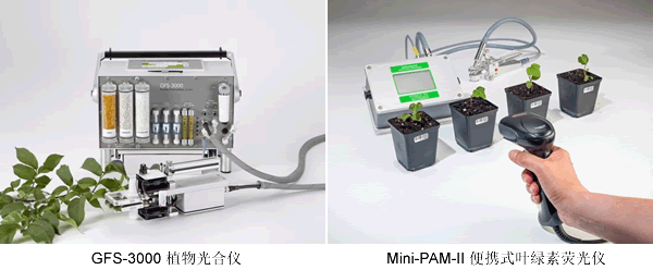 image021.gif image021.gif