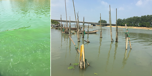 CytoSense藻類在線系統(tǒng)120h高頻次無故障運(yùn)行4.jpg CytoSense藻類在線系統(tǒng)120h高頻次無故障運(yùn)行4.jpg