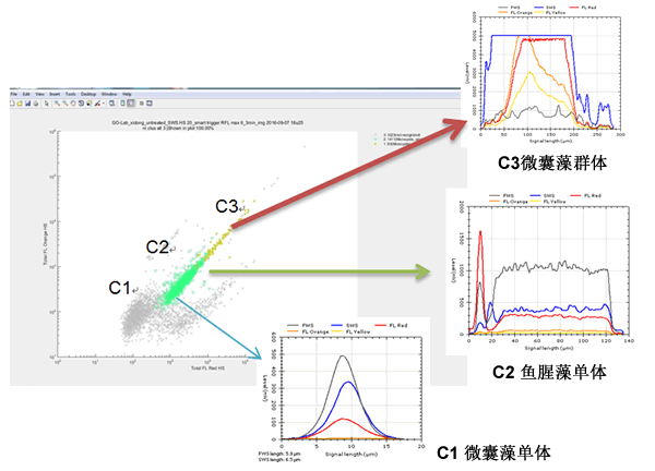 CytoSense藻類在線系統(tǒng)120h高頻次無故障運(yùn)行實(shí)驗(yàn)效果圖.gif CytoSense藻類在線系統(tǒng)120h高頻次無故障運(yùn)行實(shí)驗(yàn)效果圖.gif