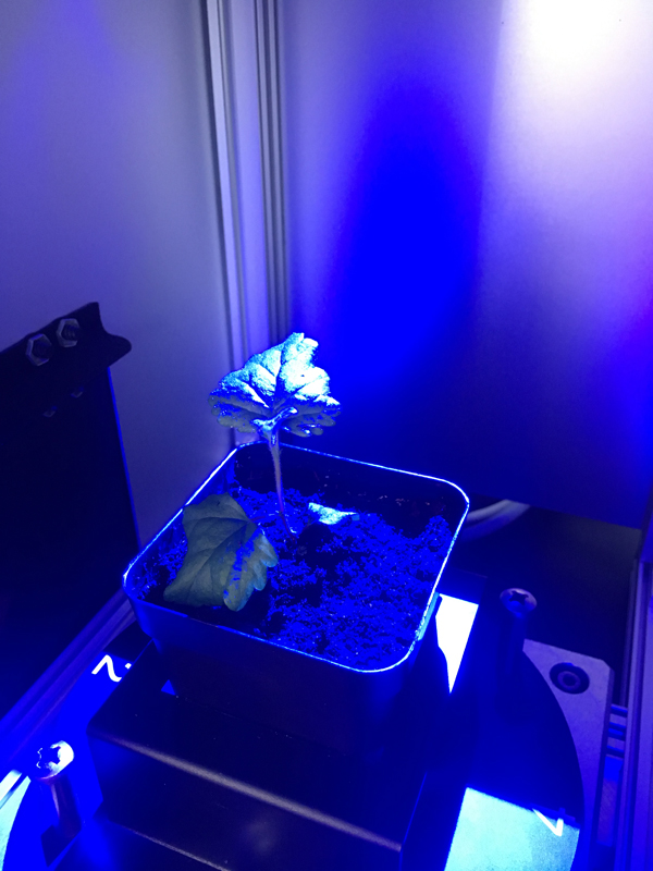 IMG_1266-1.jpg IMG_1266-1.jpg