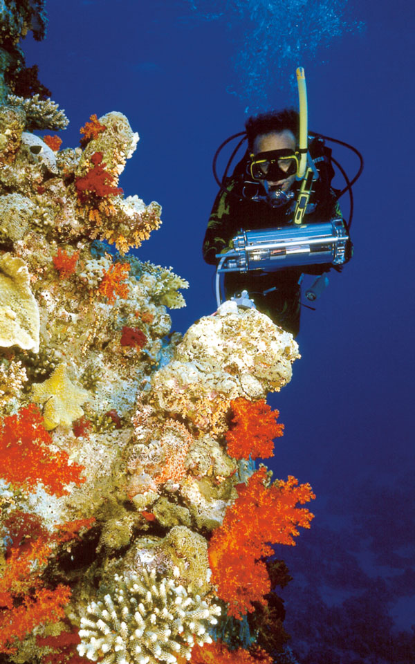 Appli-1.jpg Appli-1.jpg