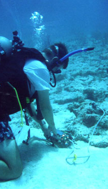 ksbpam-1.jpg ksbpam-1.jpg