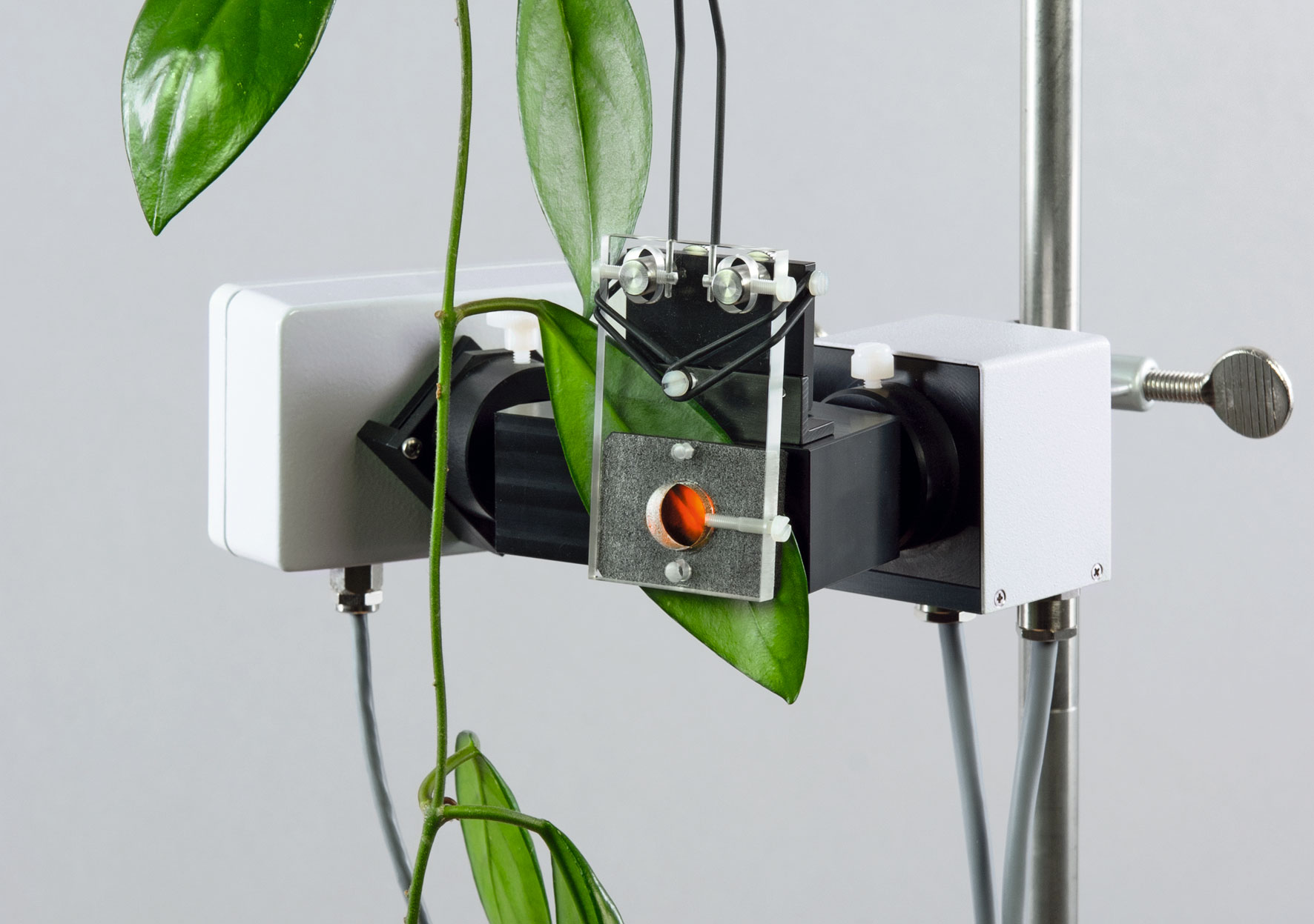 MC-3-1.jpg MC-3-1.jpg