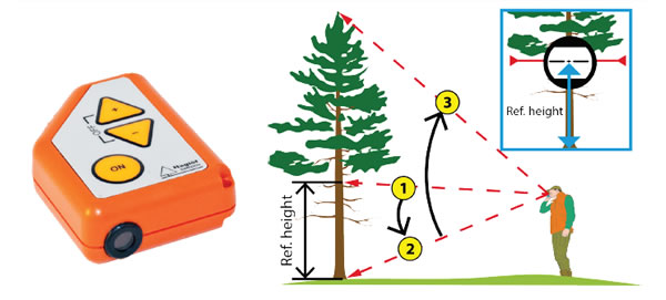 EC II D.jpg EC II D.jpg