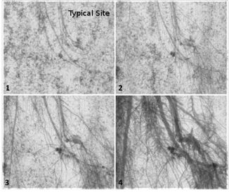 應(yīng)用案例四.JPG 應(yīng)用案例四.JPG
