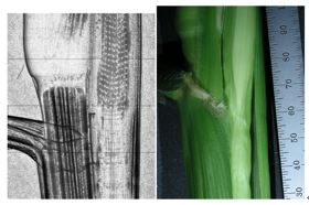 應(yīng)用案例五.JPG 應(yīng)用案例五.JPG