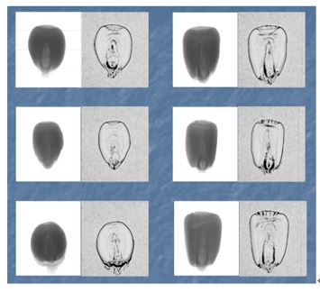 應(yīng)用案例六.JPG 應(yīng)用案例六.JPG