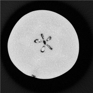 Pear1_副本.jpg Pear1_副本.jpg