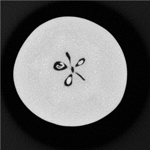 Pear3_副本.jpg Pear3_副本.jpg