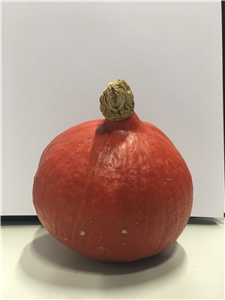 Pumpkin_副本.jpg Pumpkin_副本.jpg