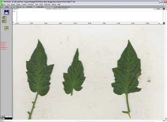 主要功能-4.jpg 主要功能-4.jpg