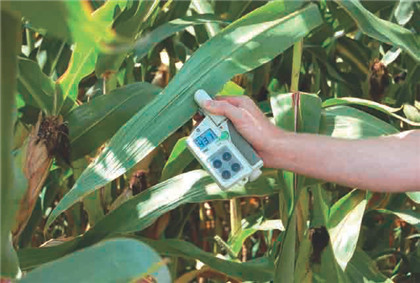 應(yīng)用領(lǐng)域-1 玉米.jpg 應(yīng)用領(lǐng)域-1 玉米.jpg