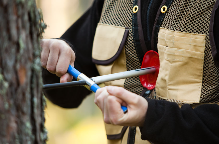 starter550x840.jpg starter550x840.jpg