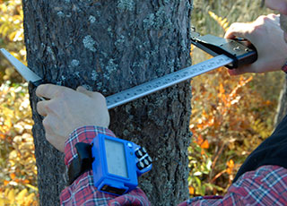 DPII_RADEIENTERKNAPP320x230.jpg DPII_RADEIENTERKNAPP320x230.jpg