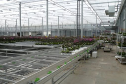 33333333333.jpg 33333333333.jpg