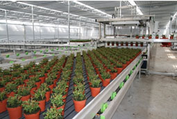 44444444444444.jpg 44444444444444.jpg