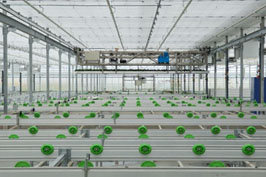 6666666666.jpg 6666666666.jpg