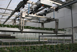 77777777777.jpg 77777777777.jpg