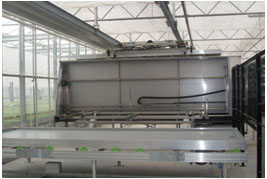 53235235253.jpg 53235235253.jpg