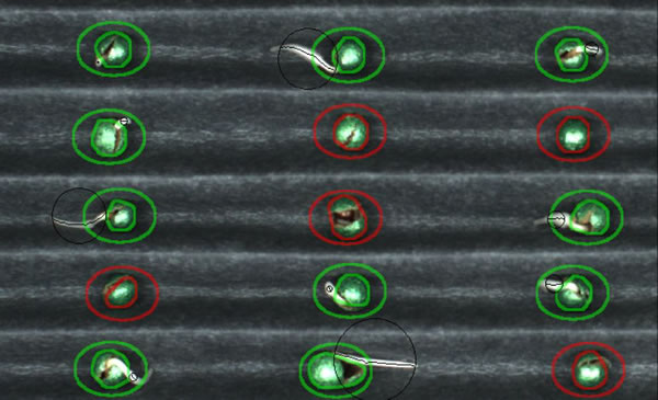植物發(fā)芽檢測系統(tǒng)46002.jpg 植物發(fā)芽檢測系統(tǒng)46002.jpg