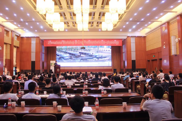 zealquest report.jpg zealquest report.jpg