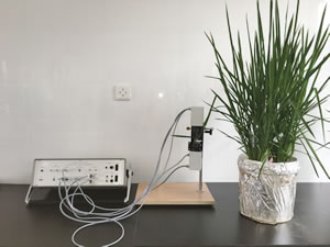 IMG_3332.JPG IMG_3332.JPG