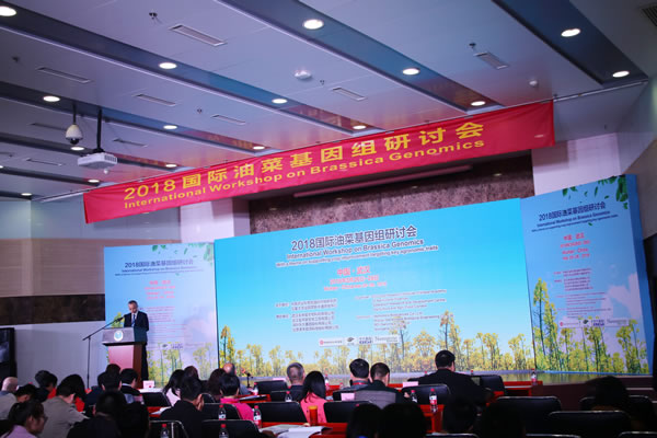 meeting room600.jpg meeting room600.jpg