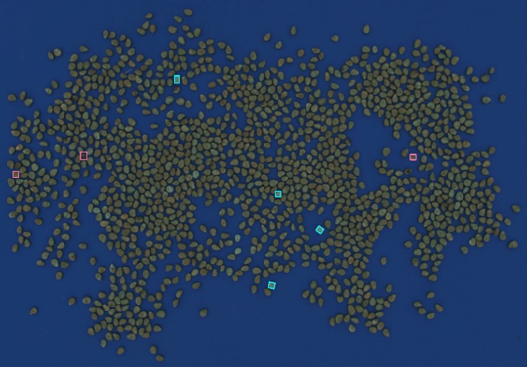 A9Rw4kthg_1utm033_5eo.jpg A9Rw4kthg_1utm033_5eo.jpg