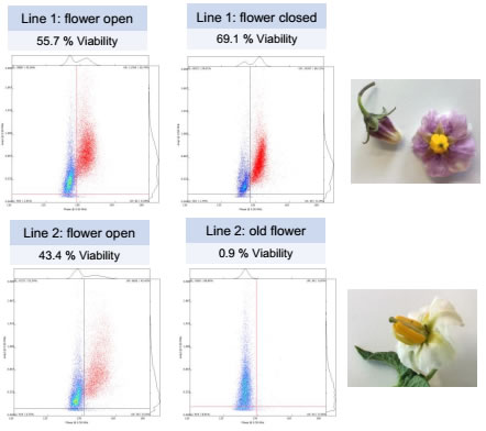 篩選優(yōu)質(zhì)品種.jpg 篩選優(yōu)質(zhì)品種.jpg