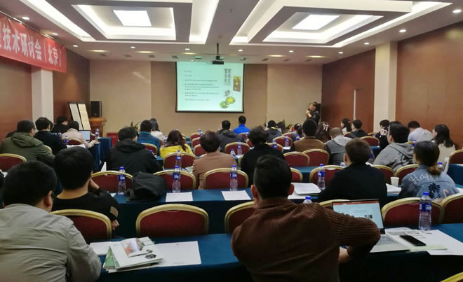 bj180412sw660.jpg bj180412sw660.jpg