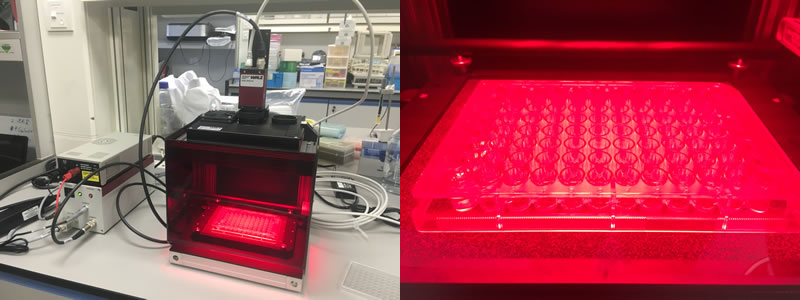 IMAGING-PAM180619.jpg IMAGING-PAM180619.jpg