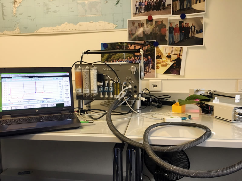 GFS-3000160619.jpg GFS-3000160619.jpg