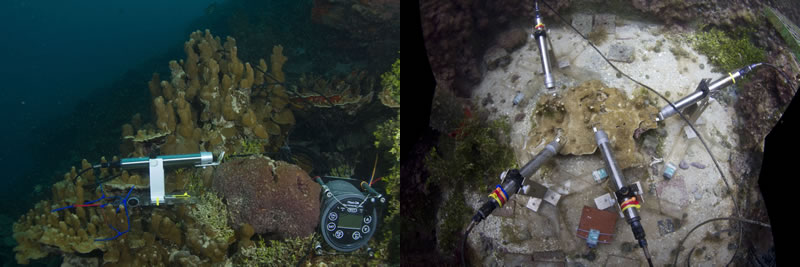 MONITORING-PAM180619.jpg MONITORING-PAM180619.jpg