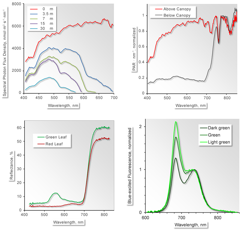 DIVING-PAM-II180619.jpg DIVING-PAM-II180619.jpg