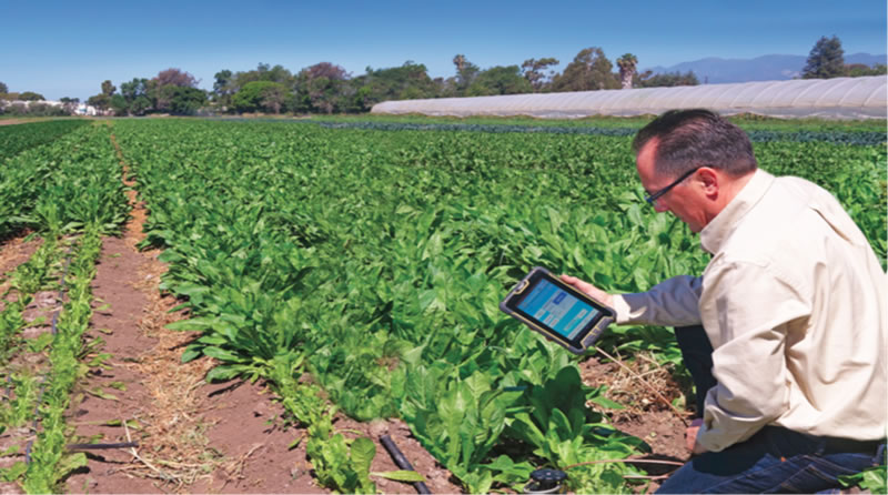 Handi-TRASE18090501.jpg Handi-TRASE18090501.jpg