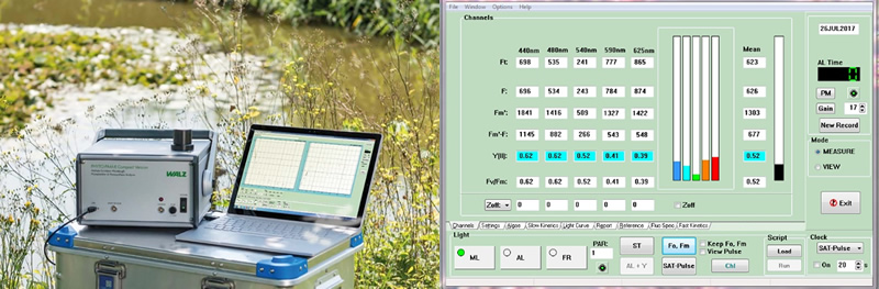 ev1810091.jpg ev1810091.jpg