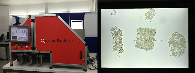 ev1810095.jpg ev1810095.jpg