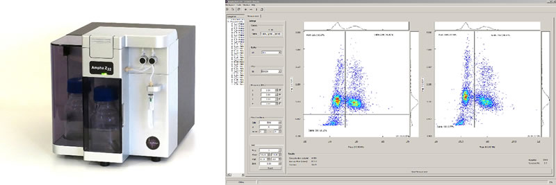 ev1810096.jpg ev1810096.jpg