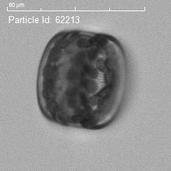 particle_62213_cropped.jpg particle_62213_cropped.jpg