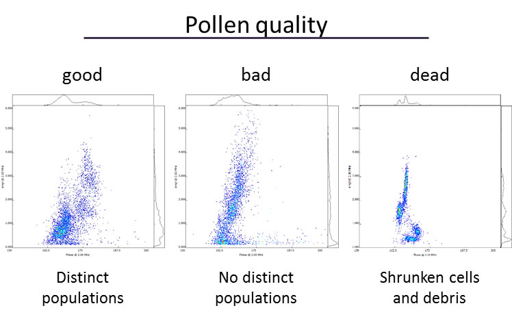 花粉18112901.jpg 花粉18112901.jpg