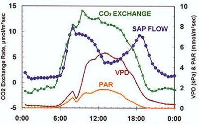 PT501901313.jpg PT501901313.jpg