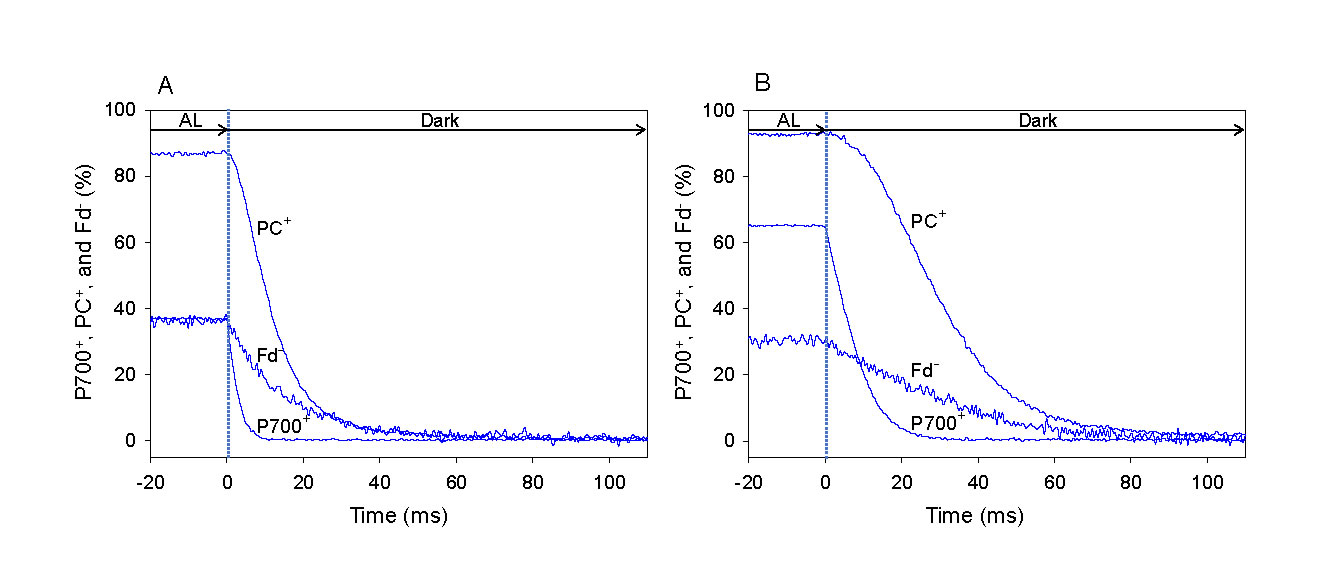 圖1190612.jpg 圖1190612.jpg