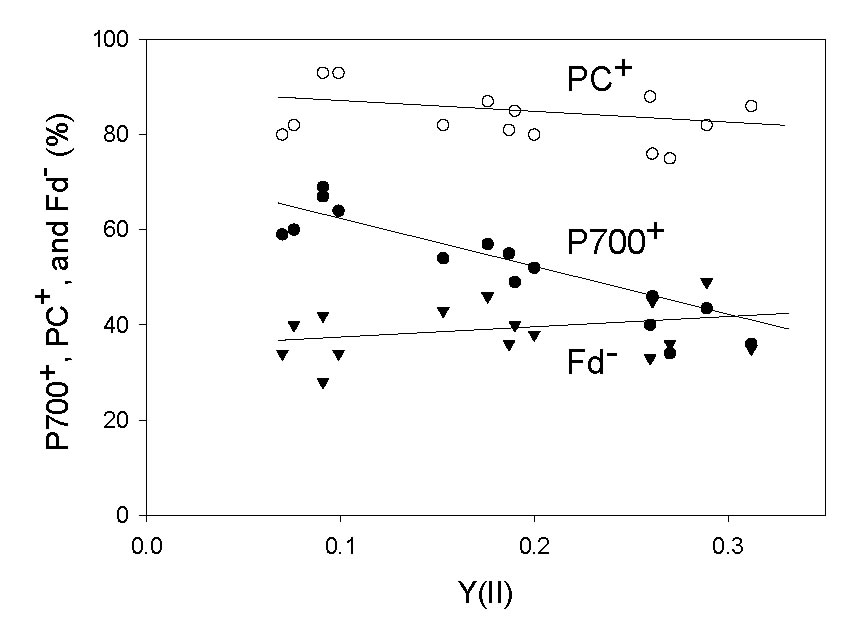 圖2190612.jpg 圖2190612.jpg