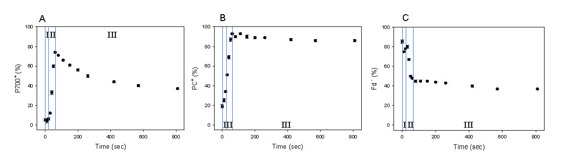 圖4190612.jpg 圖4190612.jpg