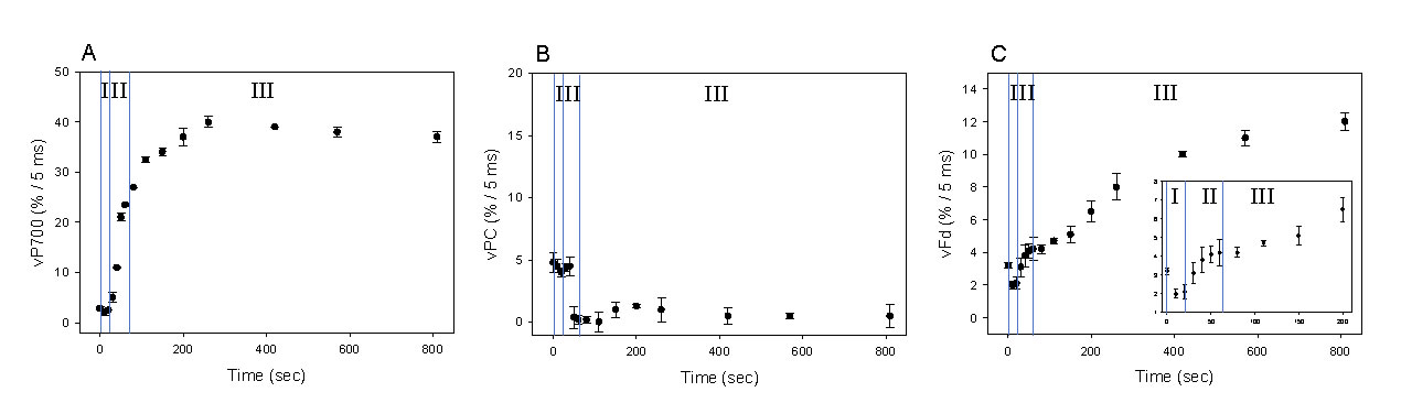 圖5190612.jpg 圖5190612.jpg
