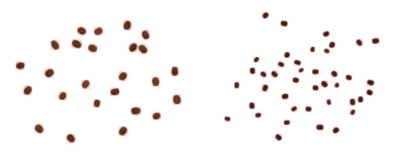 圖51906141.jpg 圖51906141.jpg